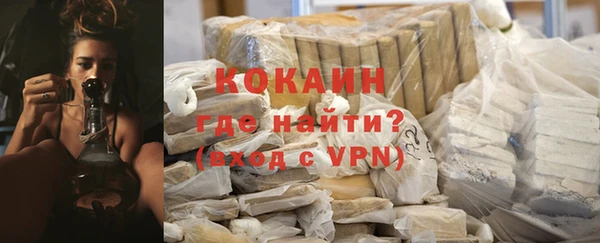 прущие грибы Богданович