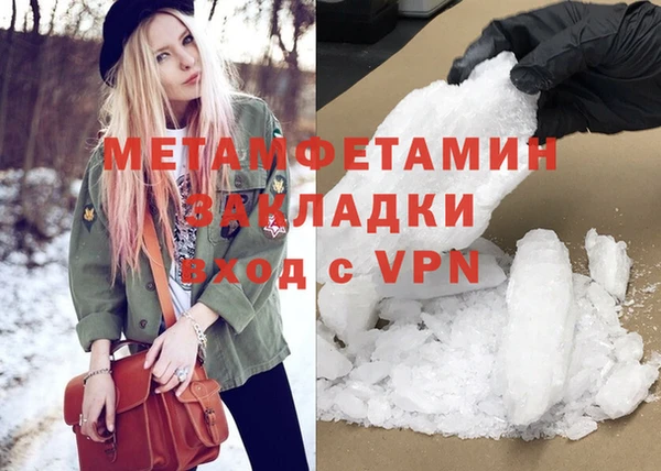 прущие грибы Богданович