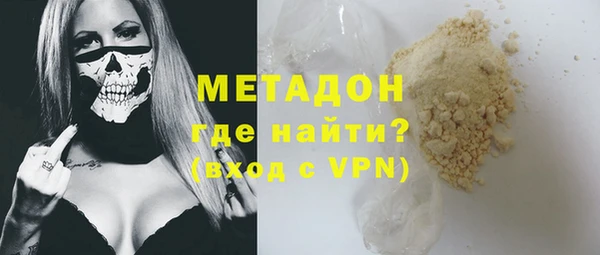 прущие грибы Богданович