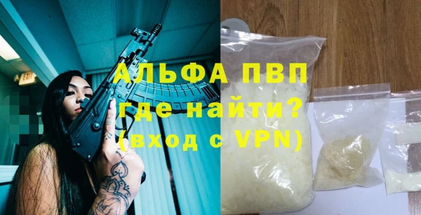прущие грибы Богданович