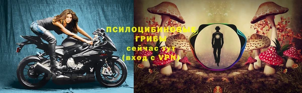 винт Белокуриха