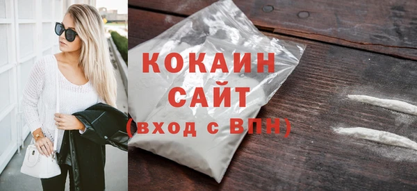 прущие грибы Богданович