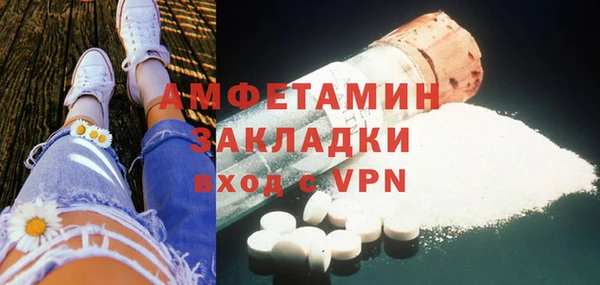 прущие грибы Богданович