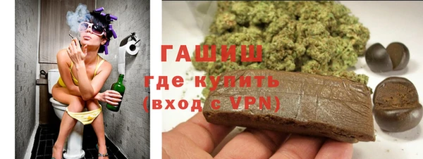 прущие грибы Богданович